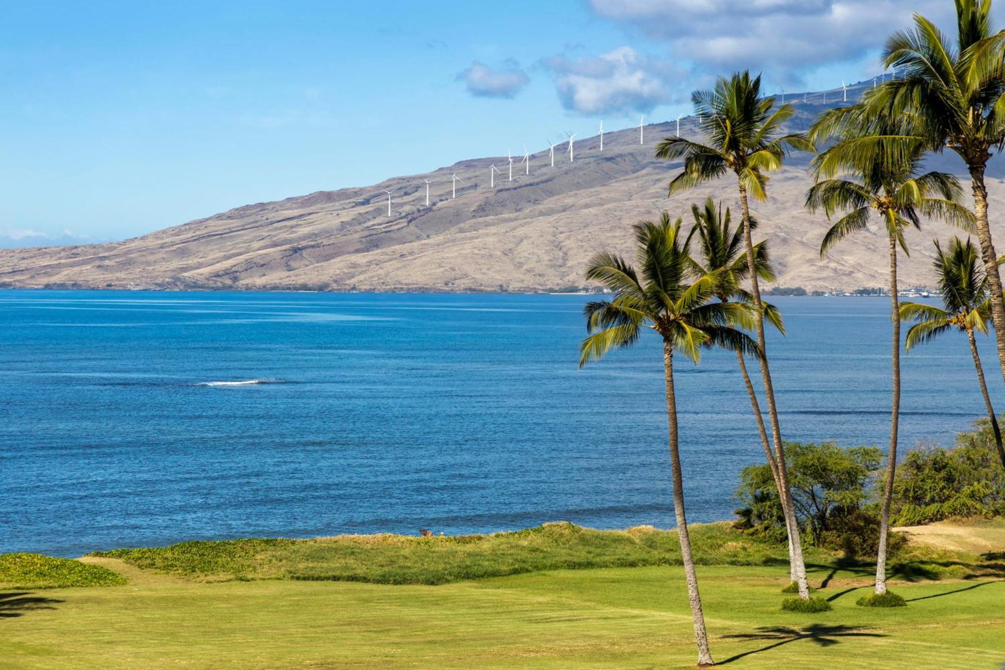 Aparthotel Maui Sunset Kihei Zewnętrze zdjęcie
